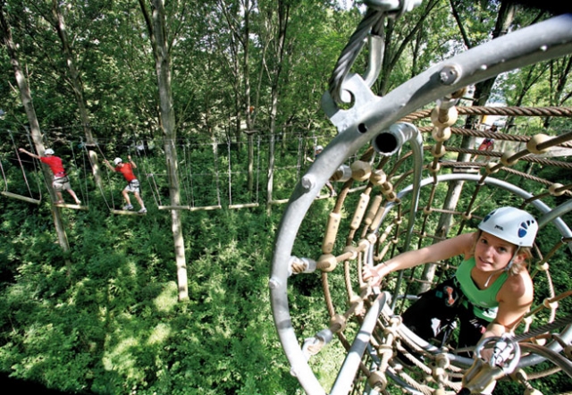  Descubrimientos en la naturaleza 